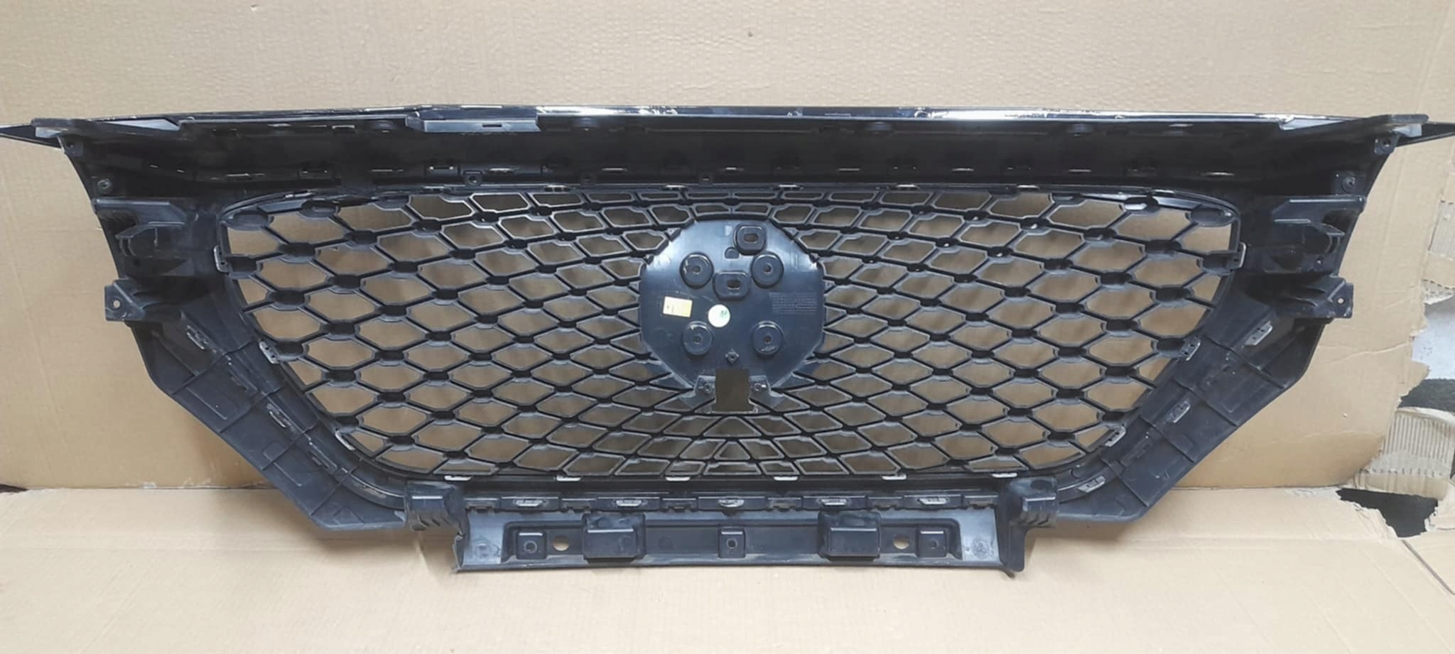 grille radiator grill MG ZS 10021164