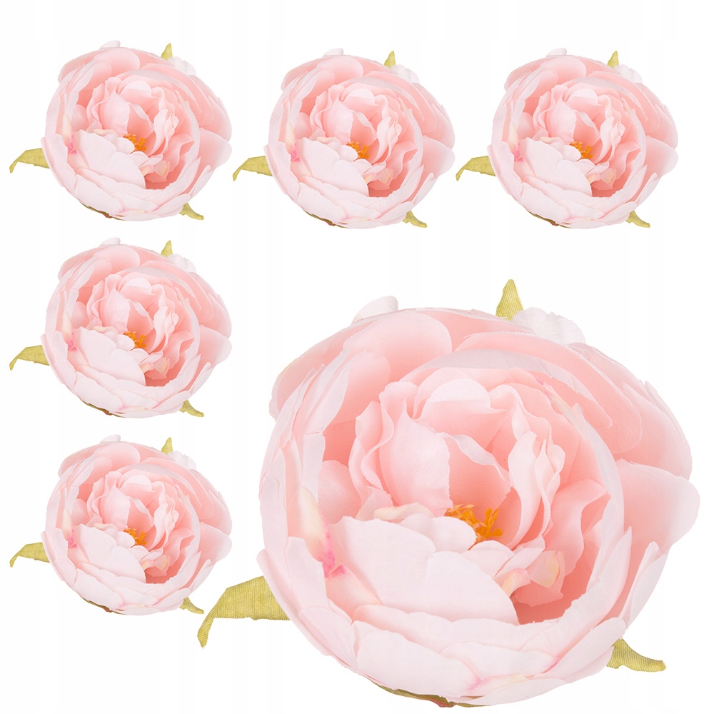 

Peonia Duży Kwiatek Główka Wyrobowa Peonii 6szt