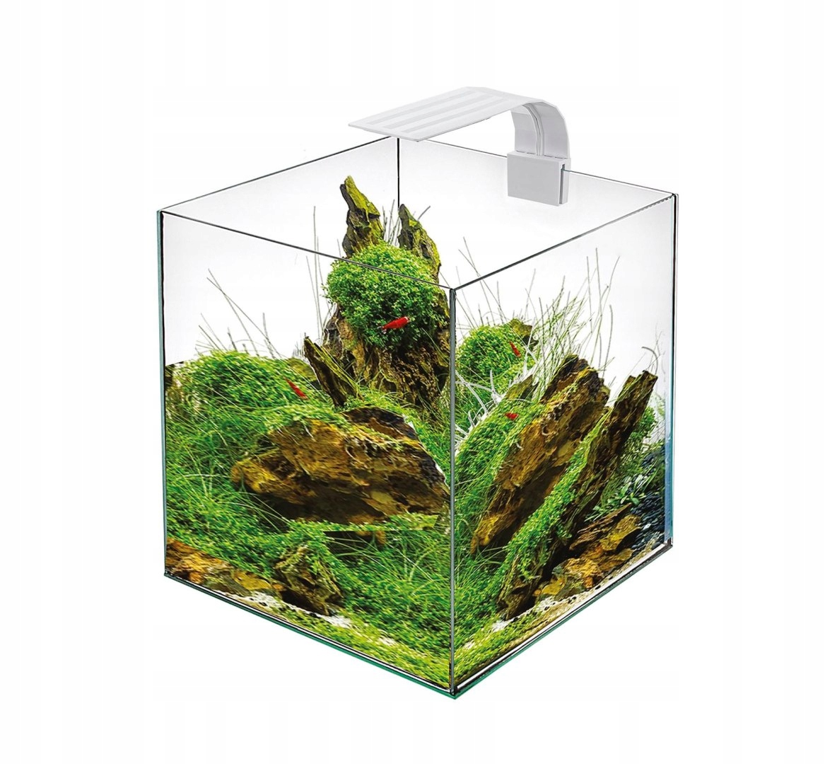 Levně Led Cube 30 Bílá