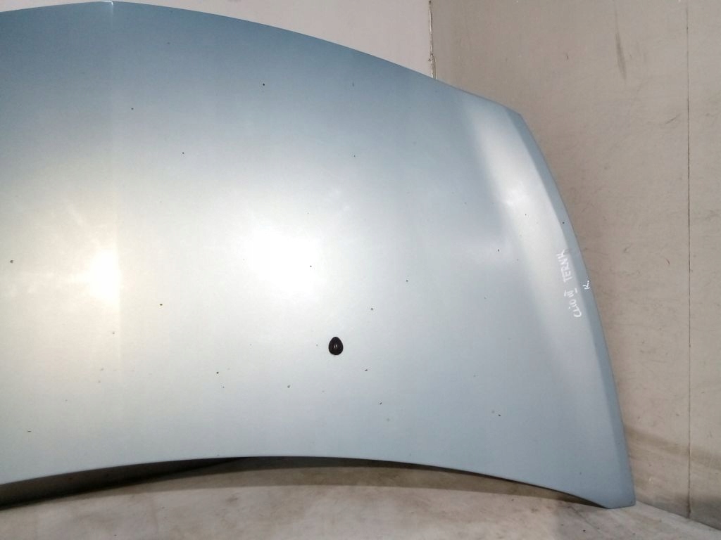 Renault Clio III 3 Cofano TERNK