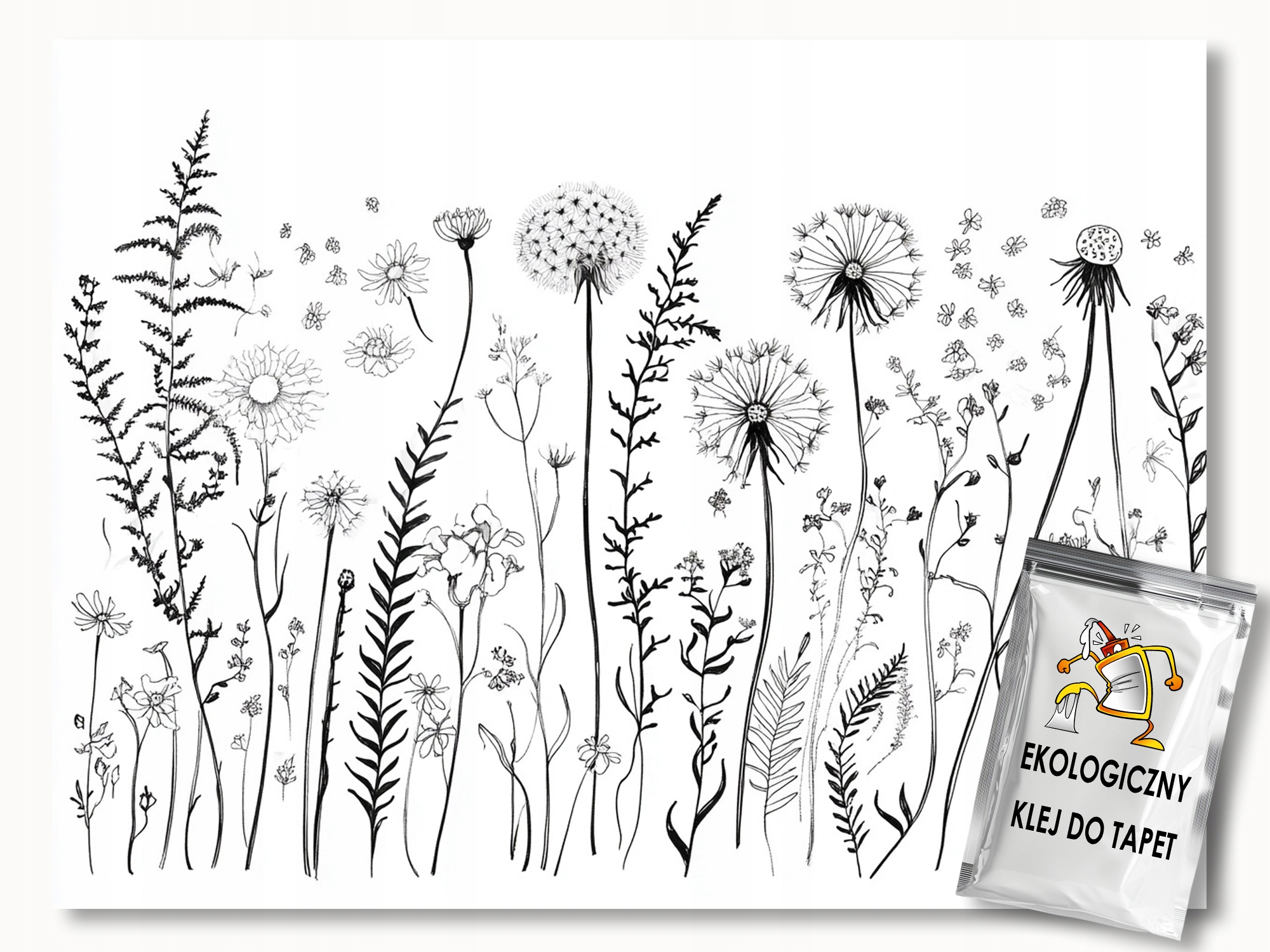 Fototapeta Flizelina Grafika Zahrada Květiny B&w Černá Bílá 368x254 130g