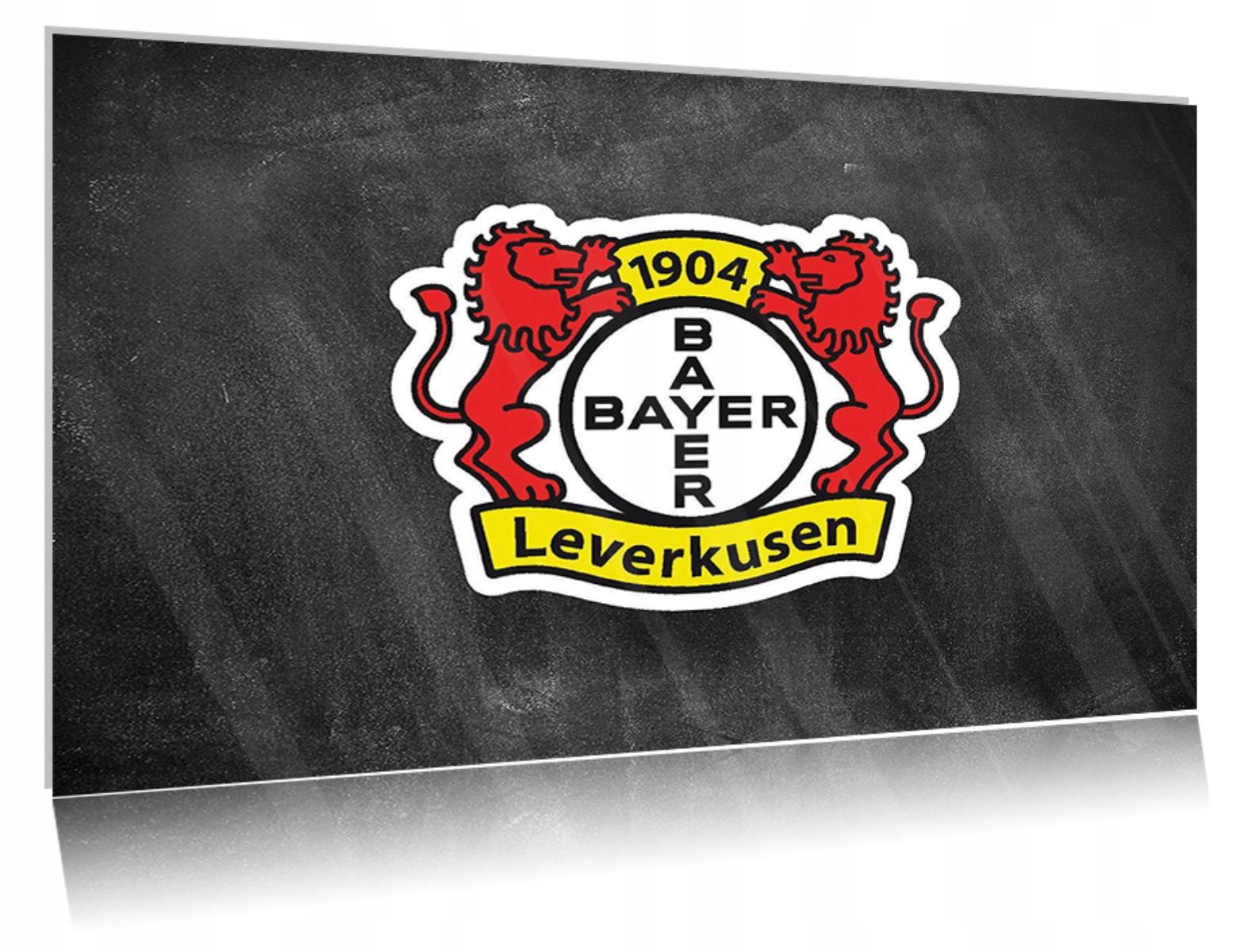 

Obraz szklany na szkle Bayer Leverkusen 01 30x20