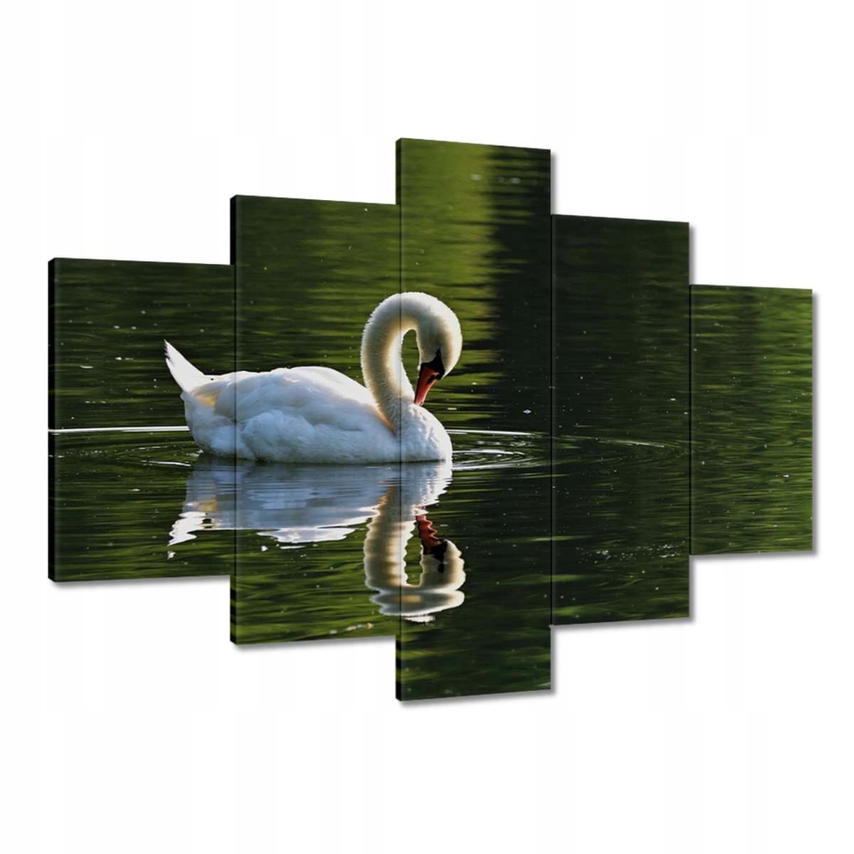 Obrazy 150x105 Labuť