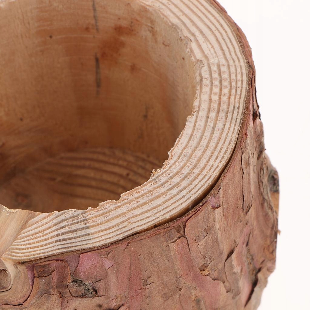 Doniczka z pnia drzewa Pojemność 1 l