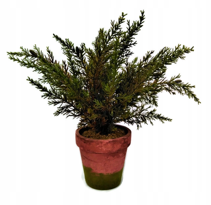 

Sztuczna roślina Cyprys doniczka drzewo OZDOBA24cm