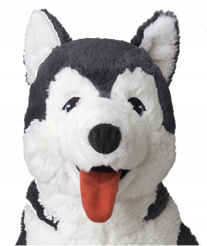 Pluszak pies husky siberian Duży Livlig Ikea