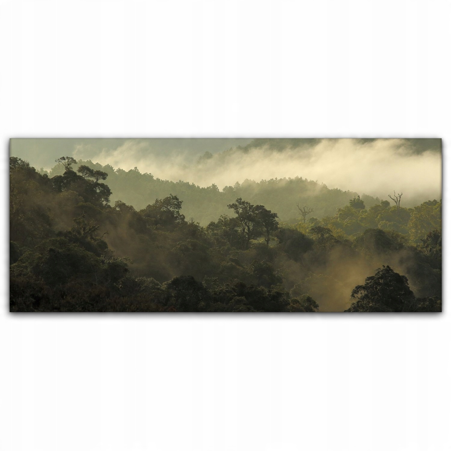 

Obraz canvas na ścianę 125x50 Góry Mgła Las Drzewa