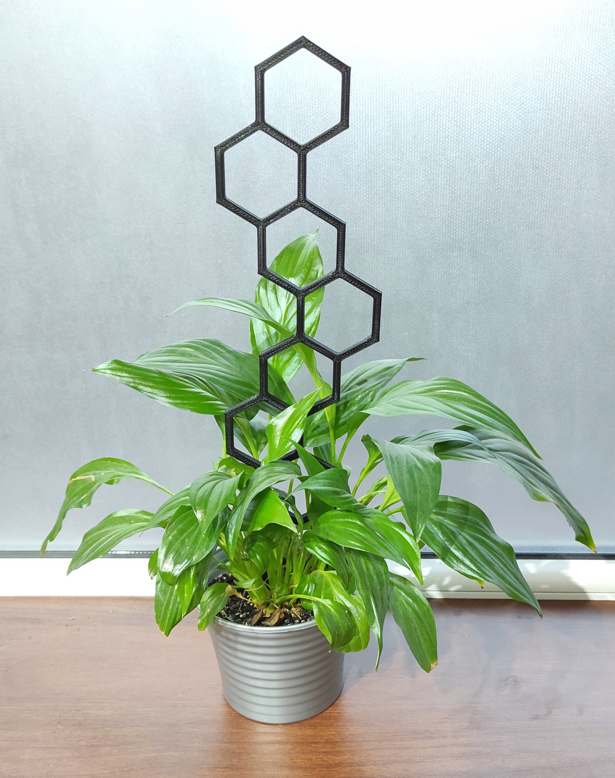 4x PODPÓRKA KWIATÓW ROŚLIN PERGOLA MIÓD 37cm Rodzaj drabinka