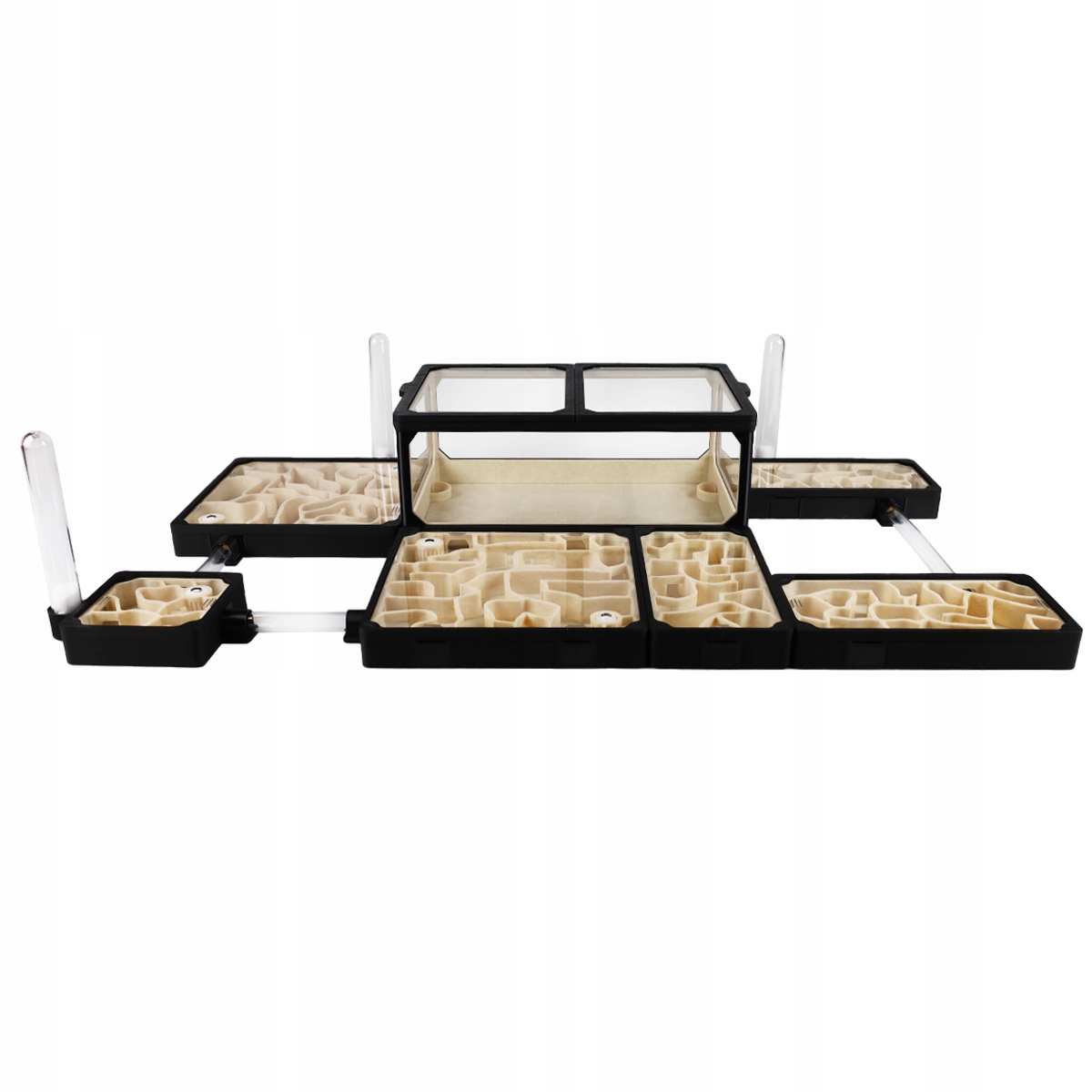 Formikarium L – Modulární terárium pro mravence 490x280