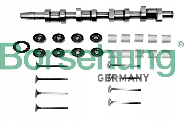 ZESTAW NAPR WALKA ROZRZADU BORSEHUNG 038109100