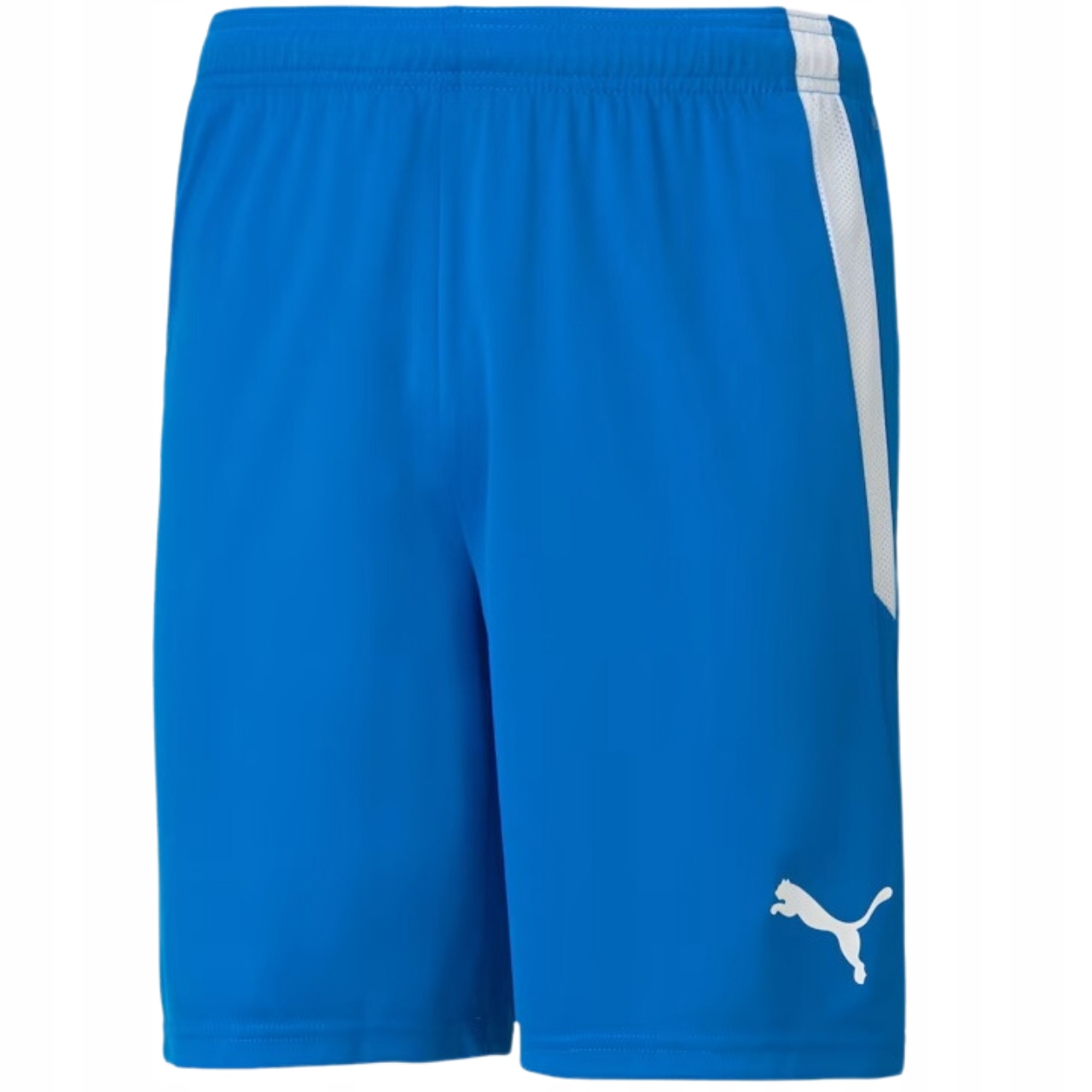 Spodenki męskie Puma teamLIGA niebieskie R. XL