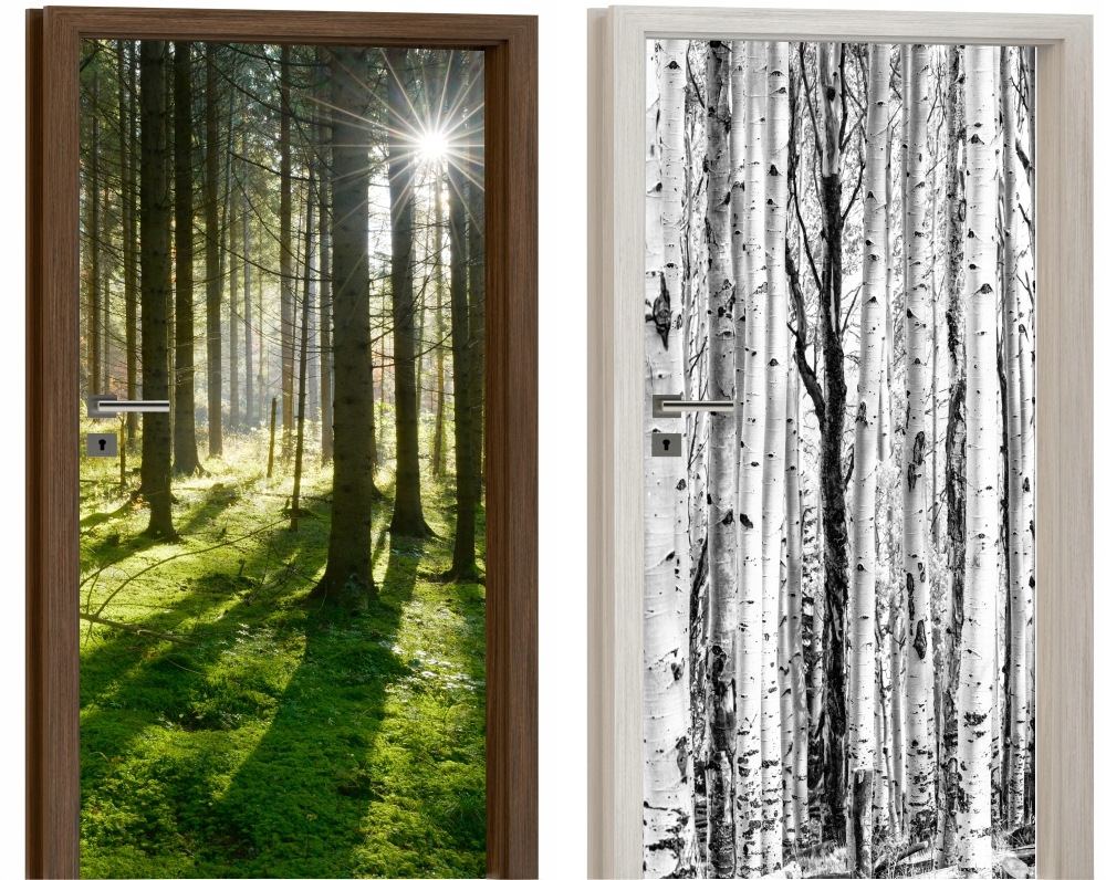 NAKLEJKA na DRZWI Meble Fototapeta Okleina