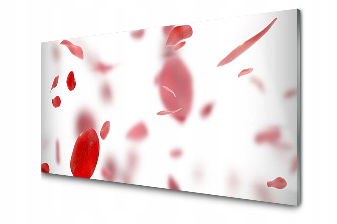 

Panel szklany dekor Róża Płatki 140x70 + Klej