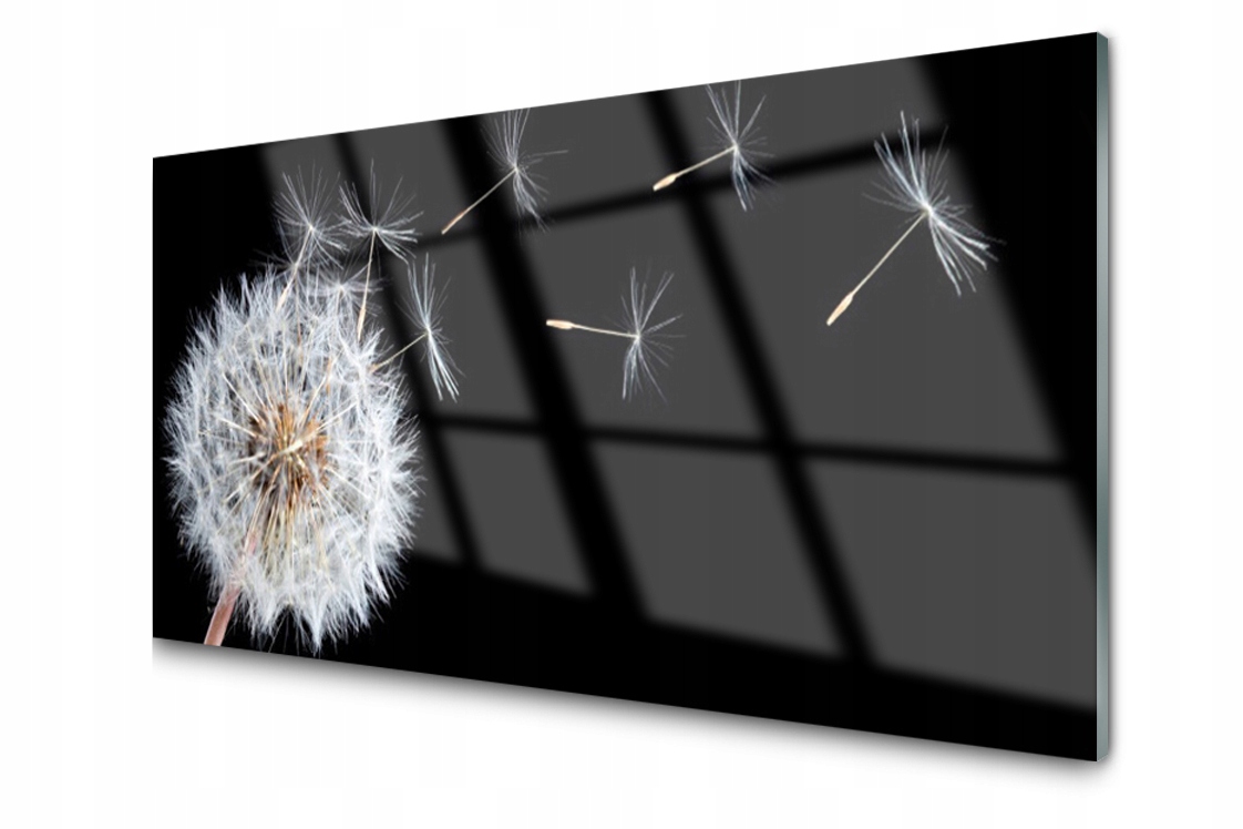 

Panel szklany Płytka Dmuchawiec Kwiaty 120x60