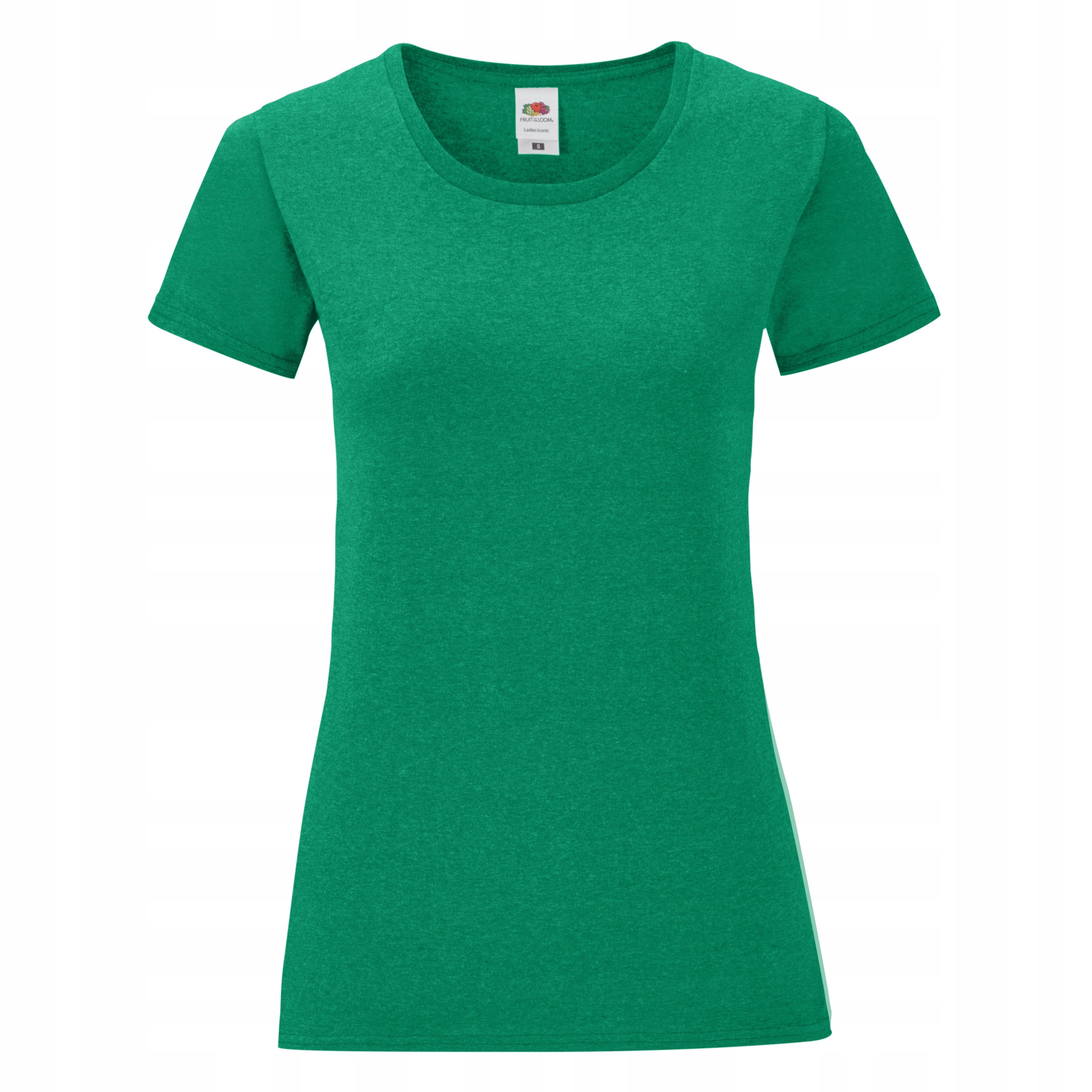 

Damska koszulka t-shirt Iconic Fruit rh. green L