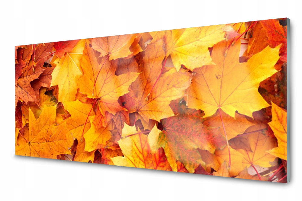 

Panel szklany do kuchni Liście Roślina 125x50