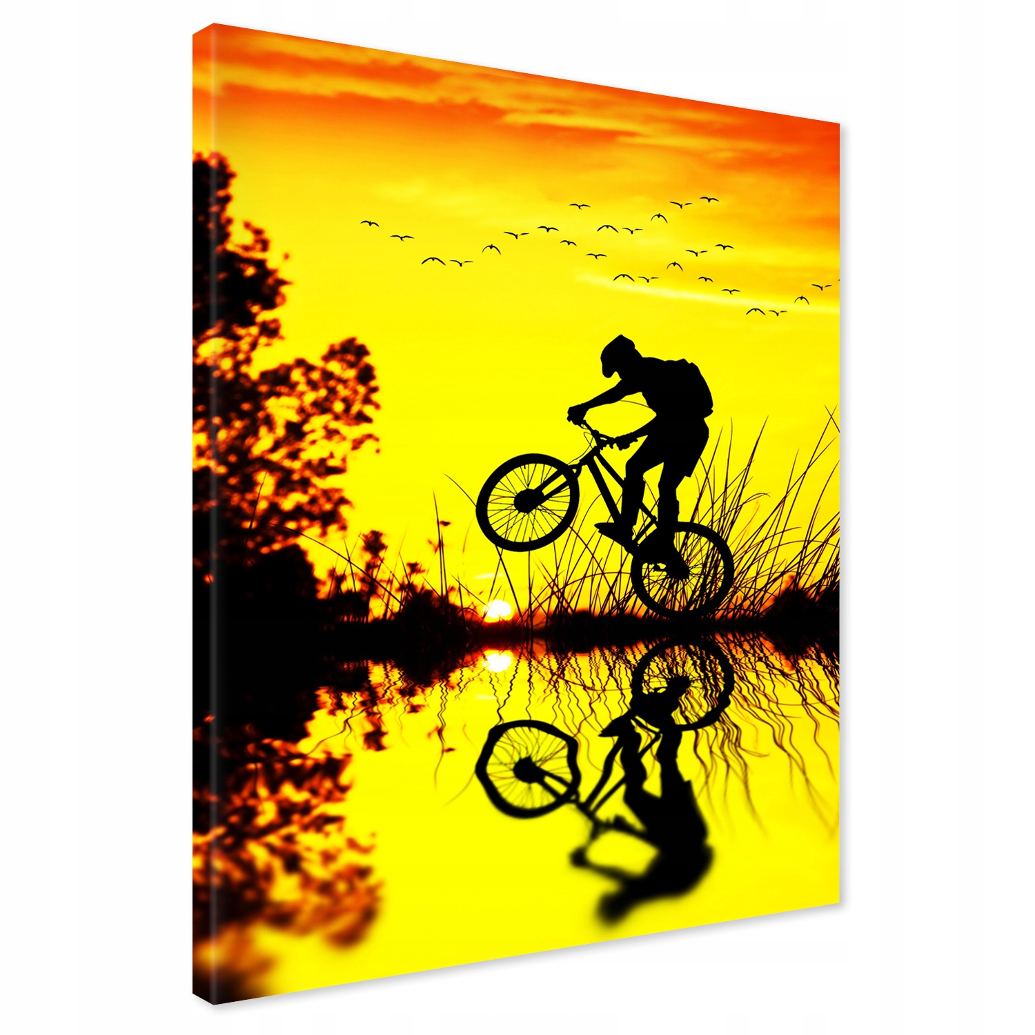 

Obraz na płótnie rower zachód 70x100