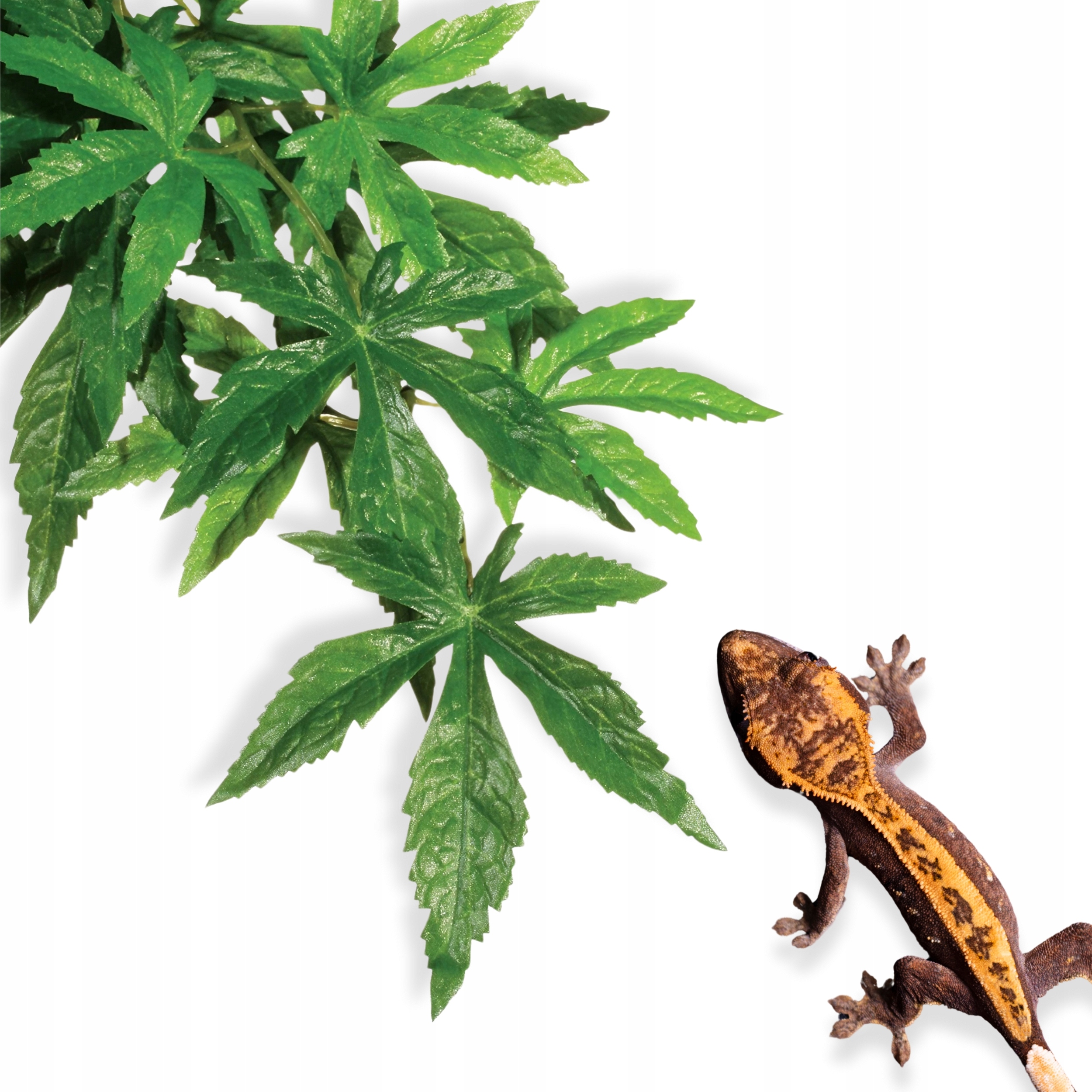 Exo-Terra Rainforest Plant Large Abutilon Velká rostlina EX-0520 pro terárium