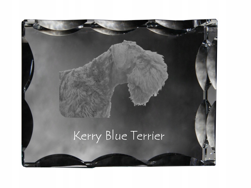 Kerry Blue Terrier fotografia psa v ozdobnom kryštáli, suvenír, dekorácia