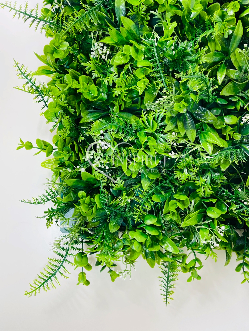 PANEL MATA NA ŚCIANĘ ZIELONA ŚCIANA Z ROŚLIN EUKALIPTUS PAPROĆ TUJ ŻYWOPŁOT Typ inny