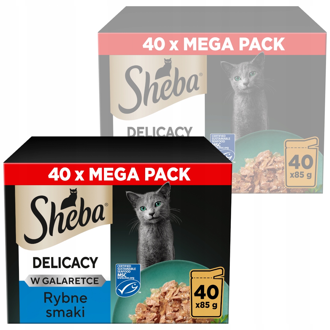 Sheba Delicacy Rybne Smaki w Galaretce 80x85g Mokra Karma Dla Kota