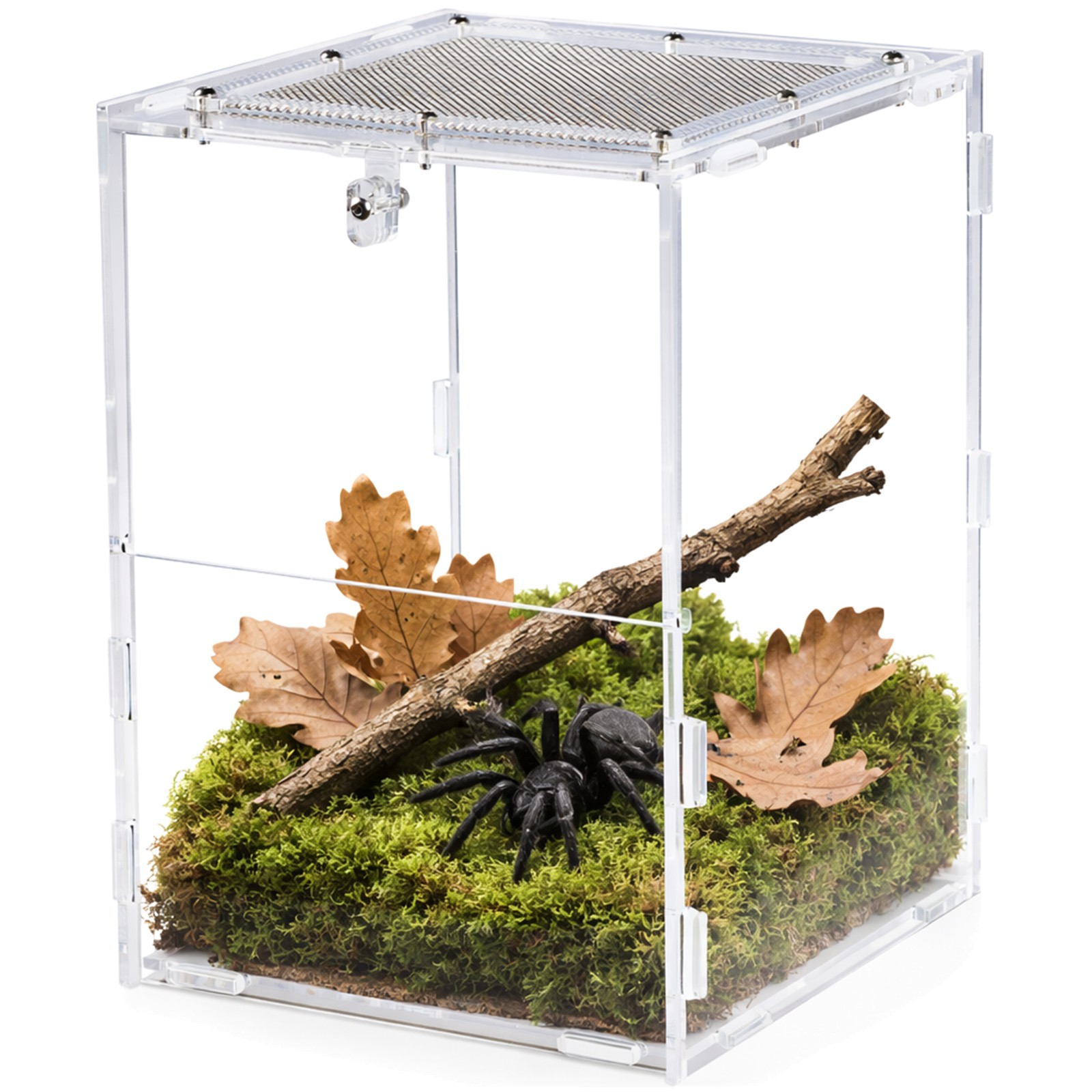 Terrarium Dla Modliszki Arylowe Pełna Widoczność Z Drzwiczkami I Wentylacją