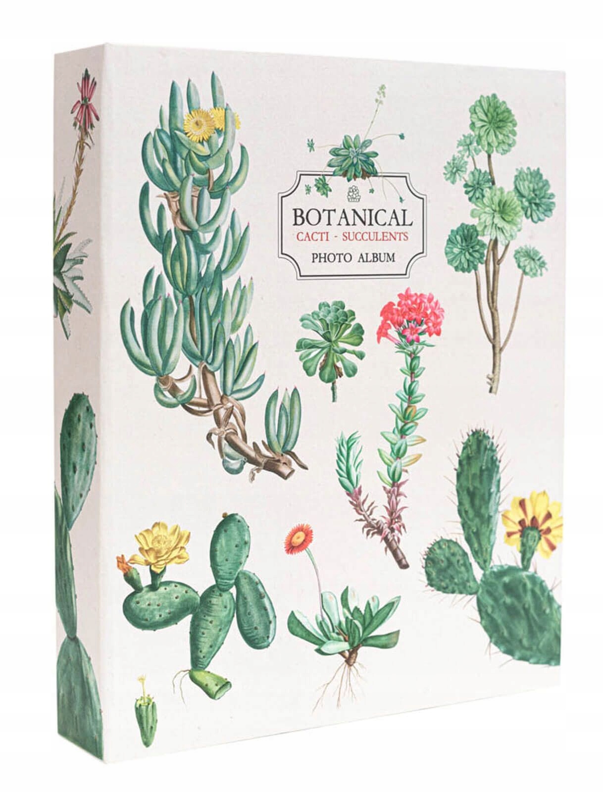 

Botanical Cacti album na 200 zdjęć 13x20 cm 10x15
