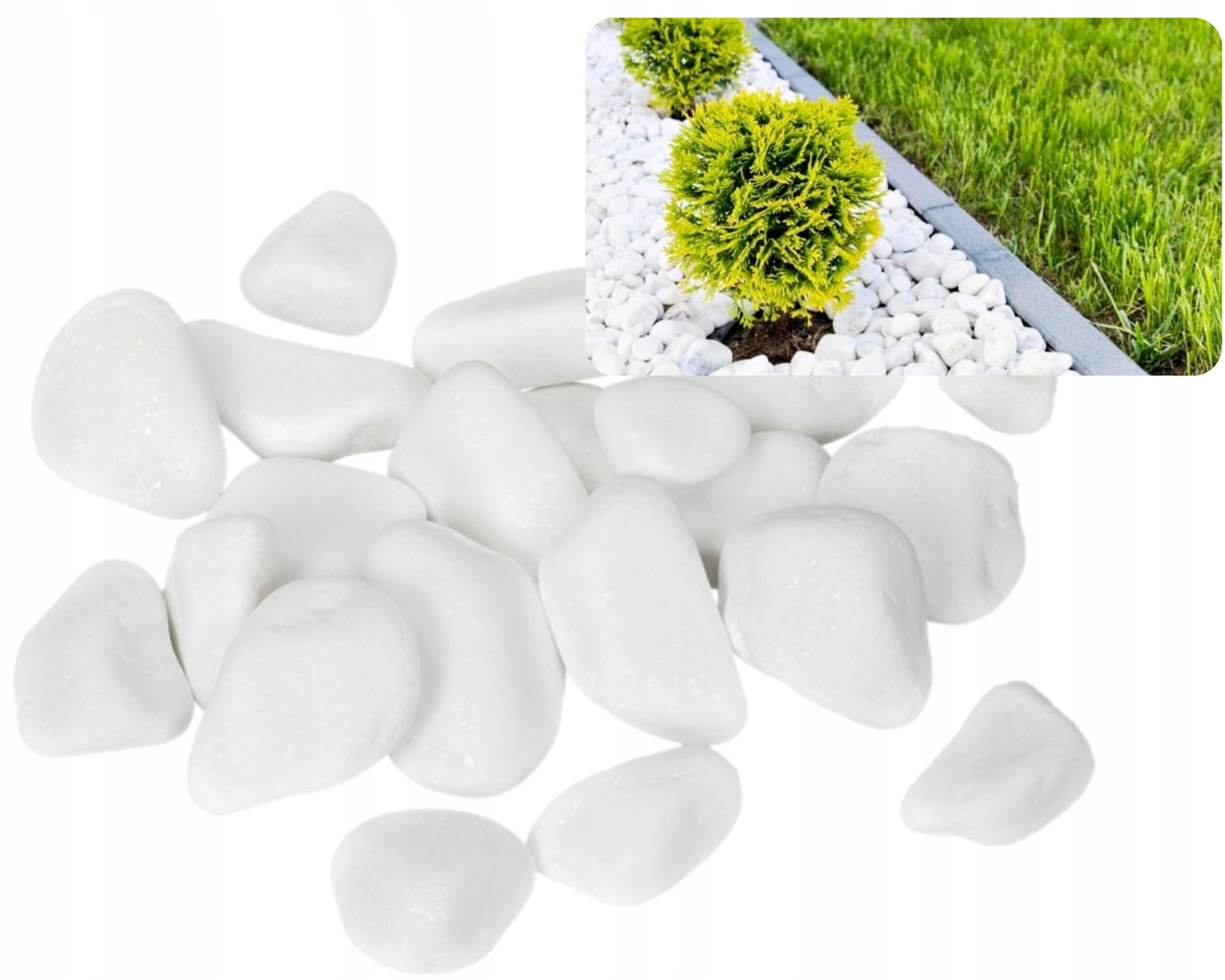 

2KG Otoczak Biały Kamień Podłoże Do Ogrodu 2-4cm