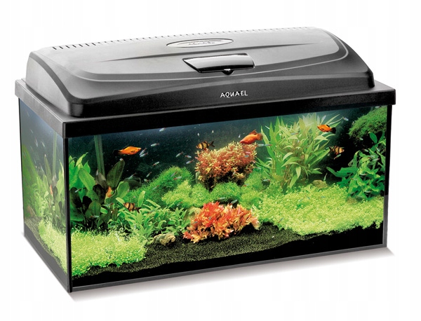 

Aquael Classic Box 60 Akwarium Proste +pokrywa Led