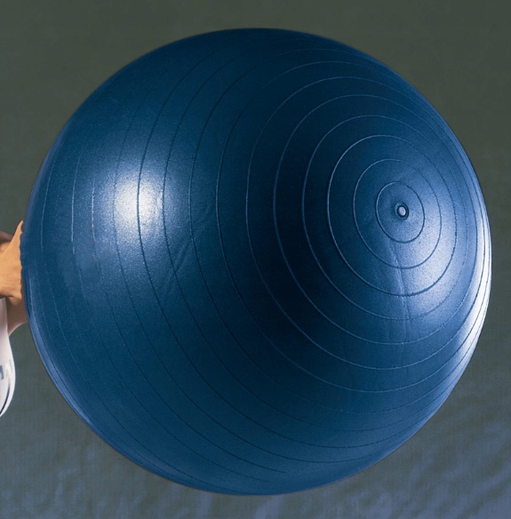 

Everlast Piłka Fitness Do Ćwiczeń 75 CM
