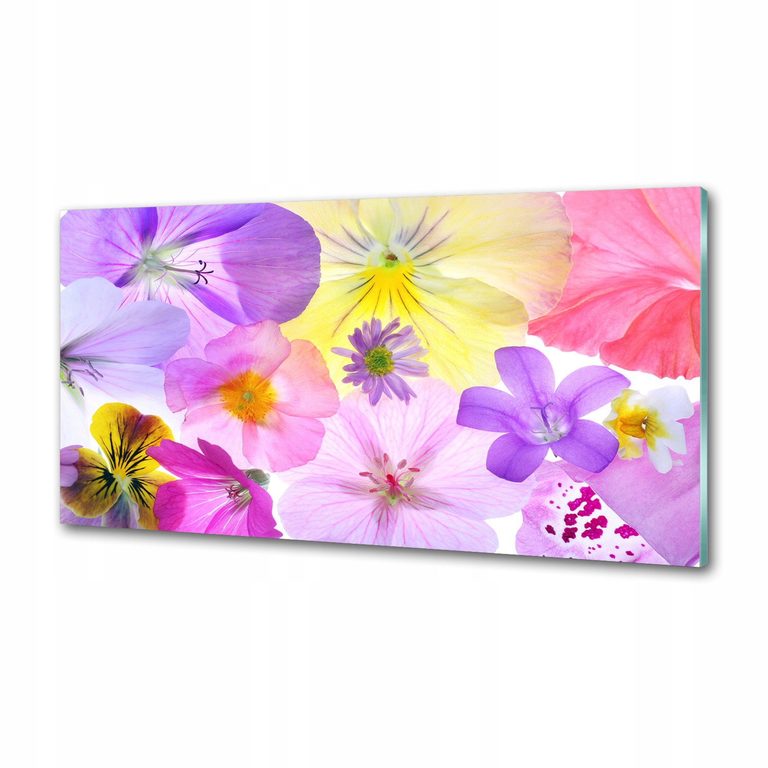 Sklenený panel do kuchyne Bratky 120 x 60 cm Lepidlo
