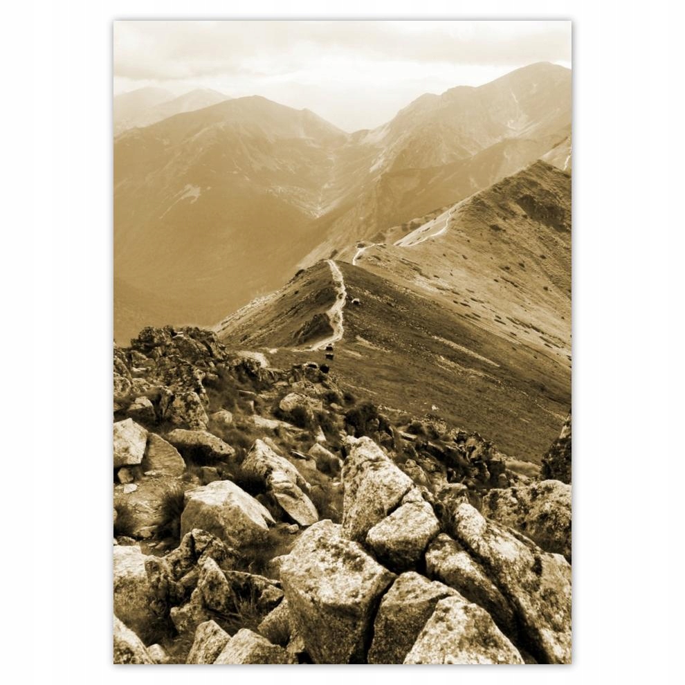 

Naklejki 50x70 Tatry Polskie góry Widok