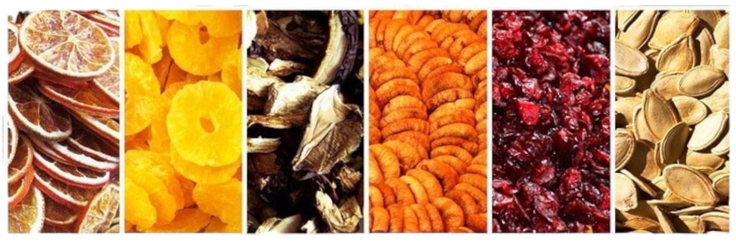 SUSZARKA SPOŻYWCZA DO SUSZENIA GRZYBÓW OWOCÓW 250W Model MSG-01