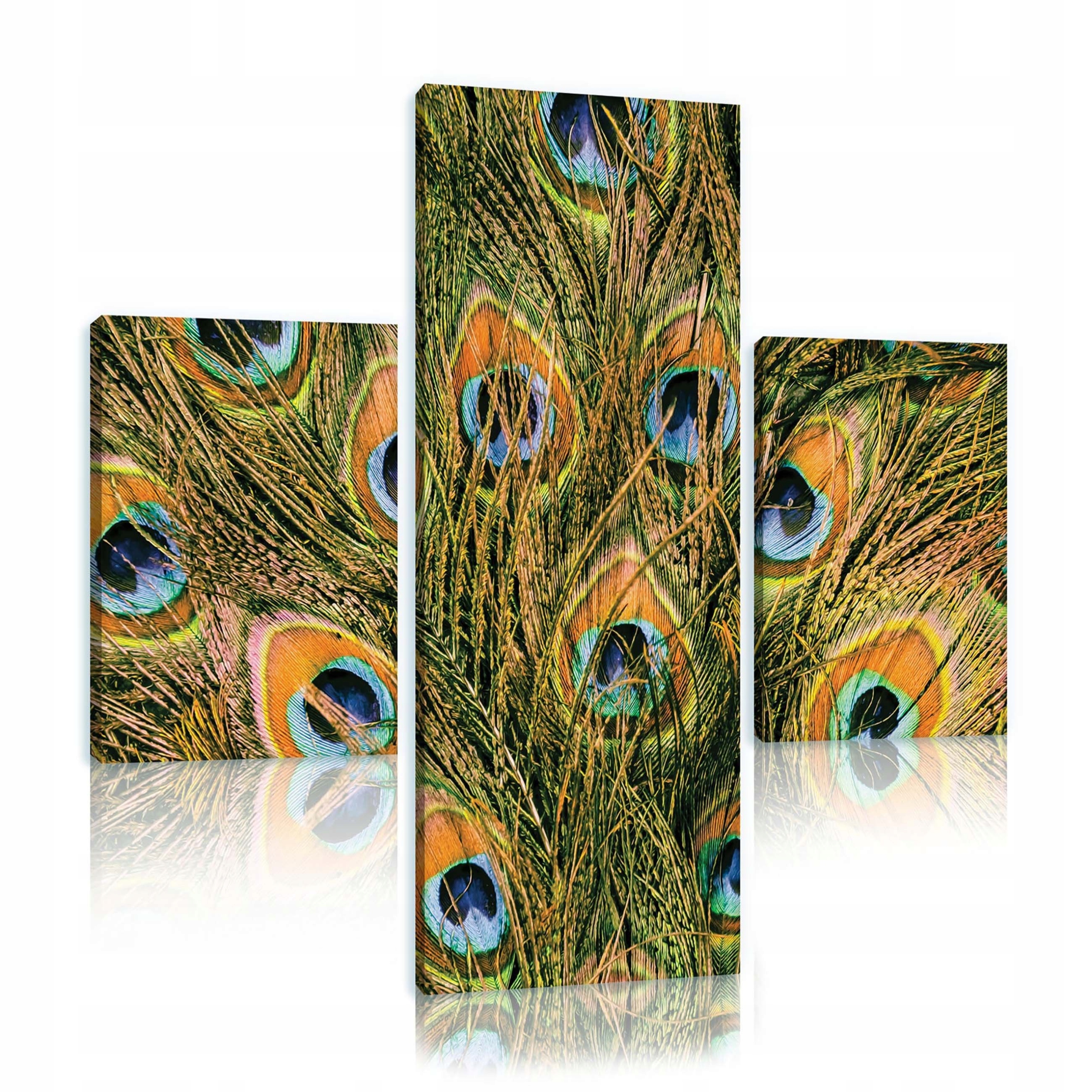 Obraz 80x80 Paví peří triptych bez rámu barevný luxusní vzor příroda