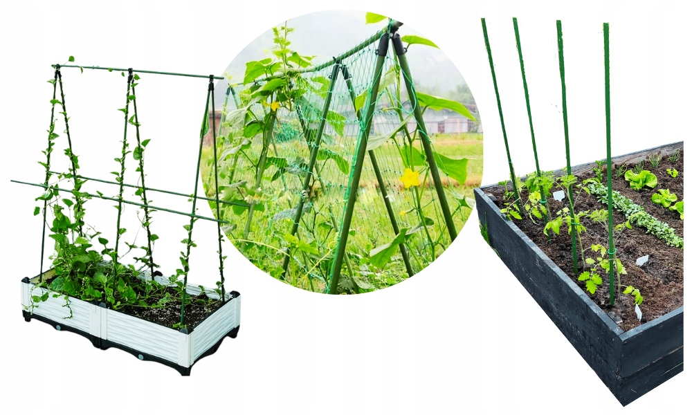 10X TYCZKA PALIK PODPORA NA POMIDORY OGÓRKI STATYW TYCZKI DO ROŚLIN 100 CM Wysokość produktu 100 cm