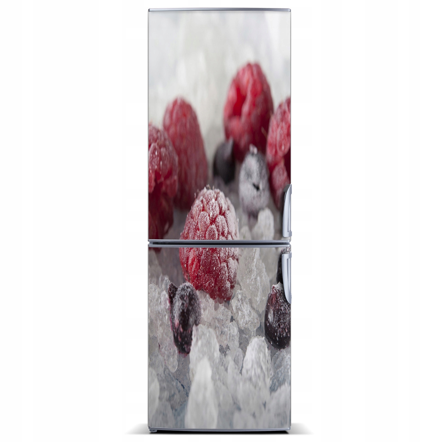 

Fototapeta magnesowa na lodówkę Mrożone owoce