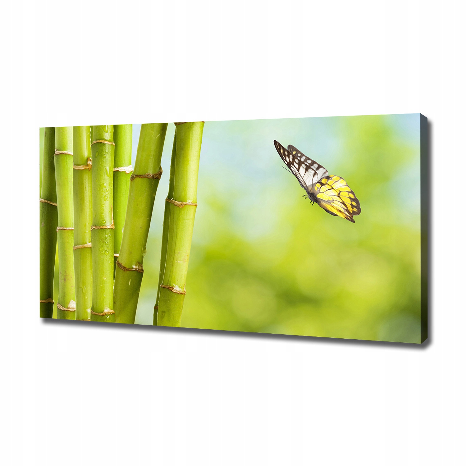

Foto obraz na płótnie Bambus i motyl 120x60 cm