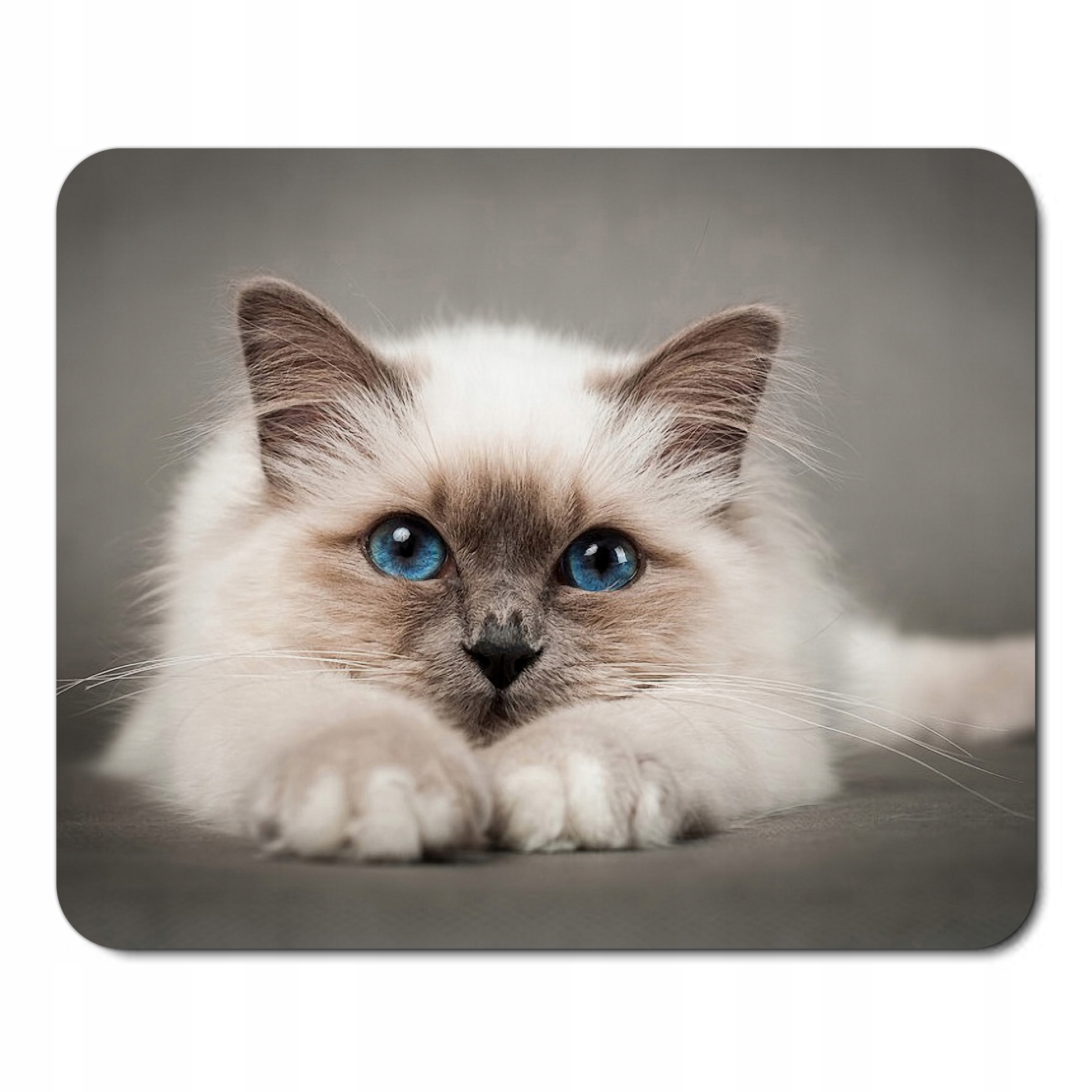 

Podkładka pod mysz myszkę z kotem Koty