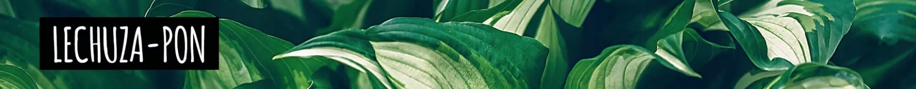 Substrat Podłoże LECHUZA PON 3L z nawozem startowym do roślin doniczkowych EAN (GTIN) 4008789195609