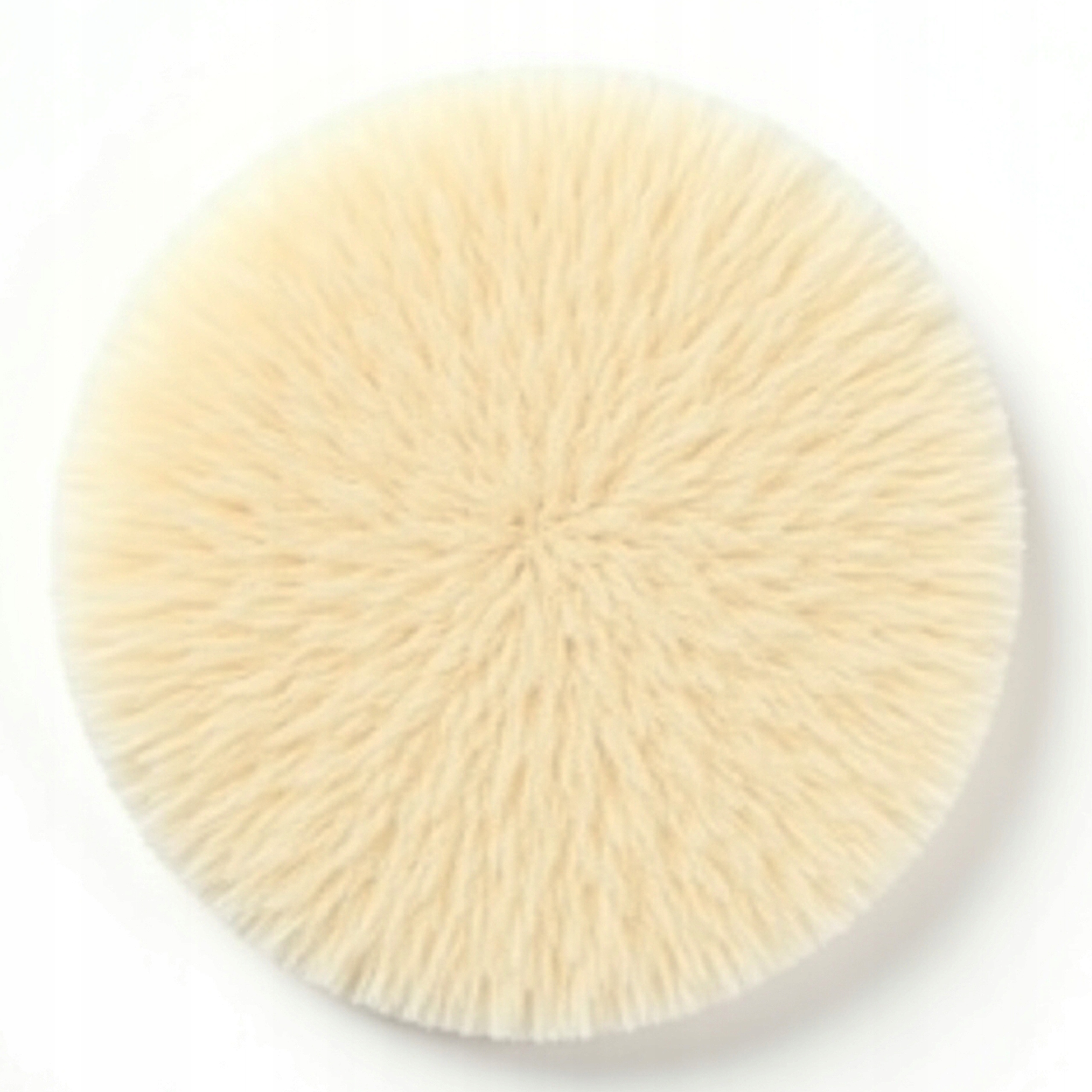 Nakładka polerska Glam 125 mm mocowanie na rzep