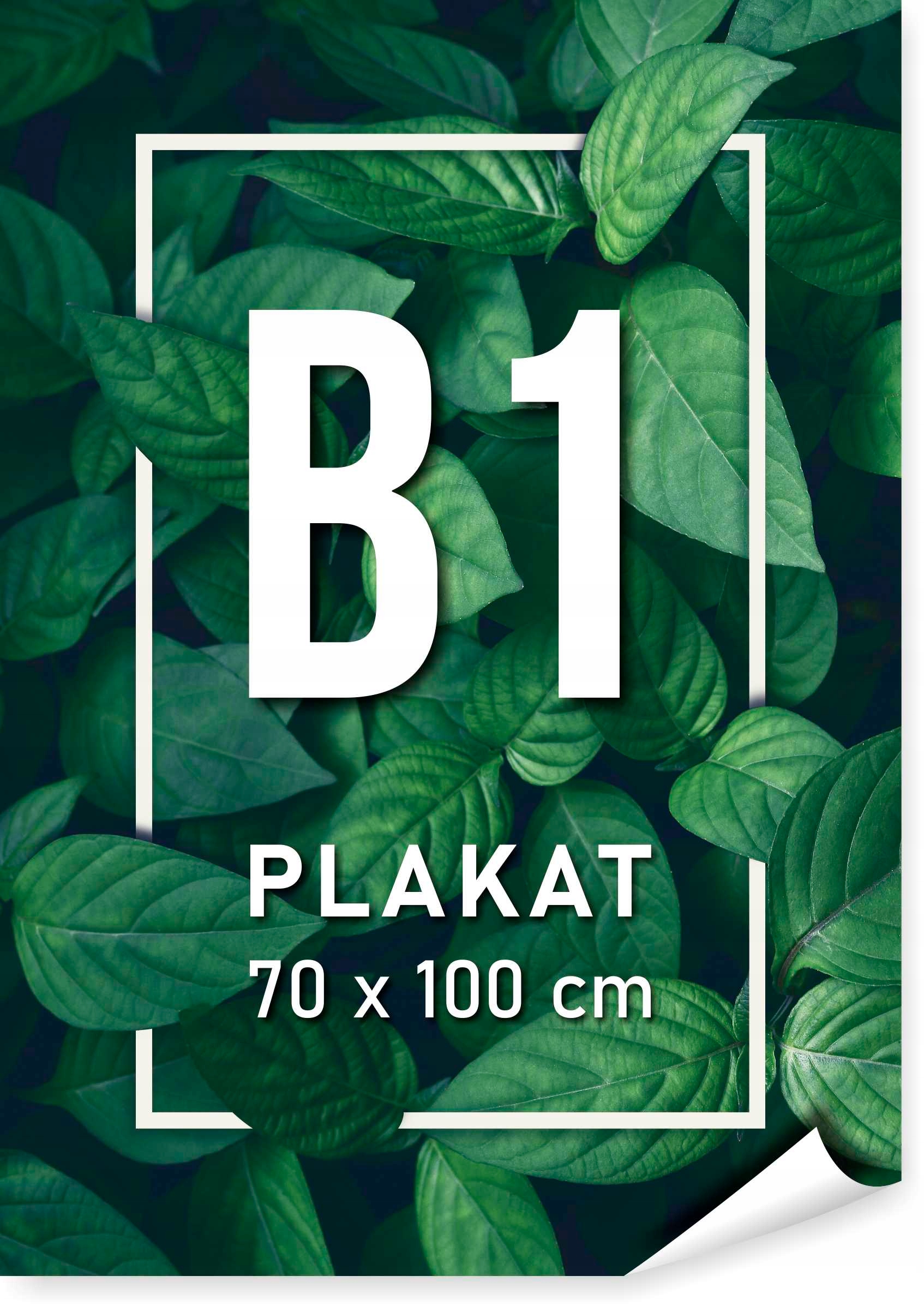 

Plakat B1 wydruk 70 x 100 cm