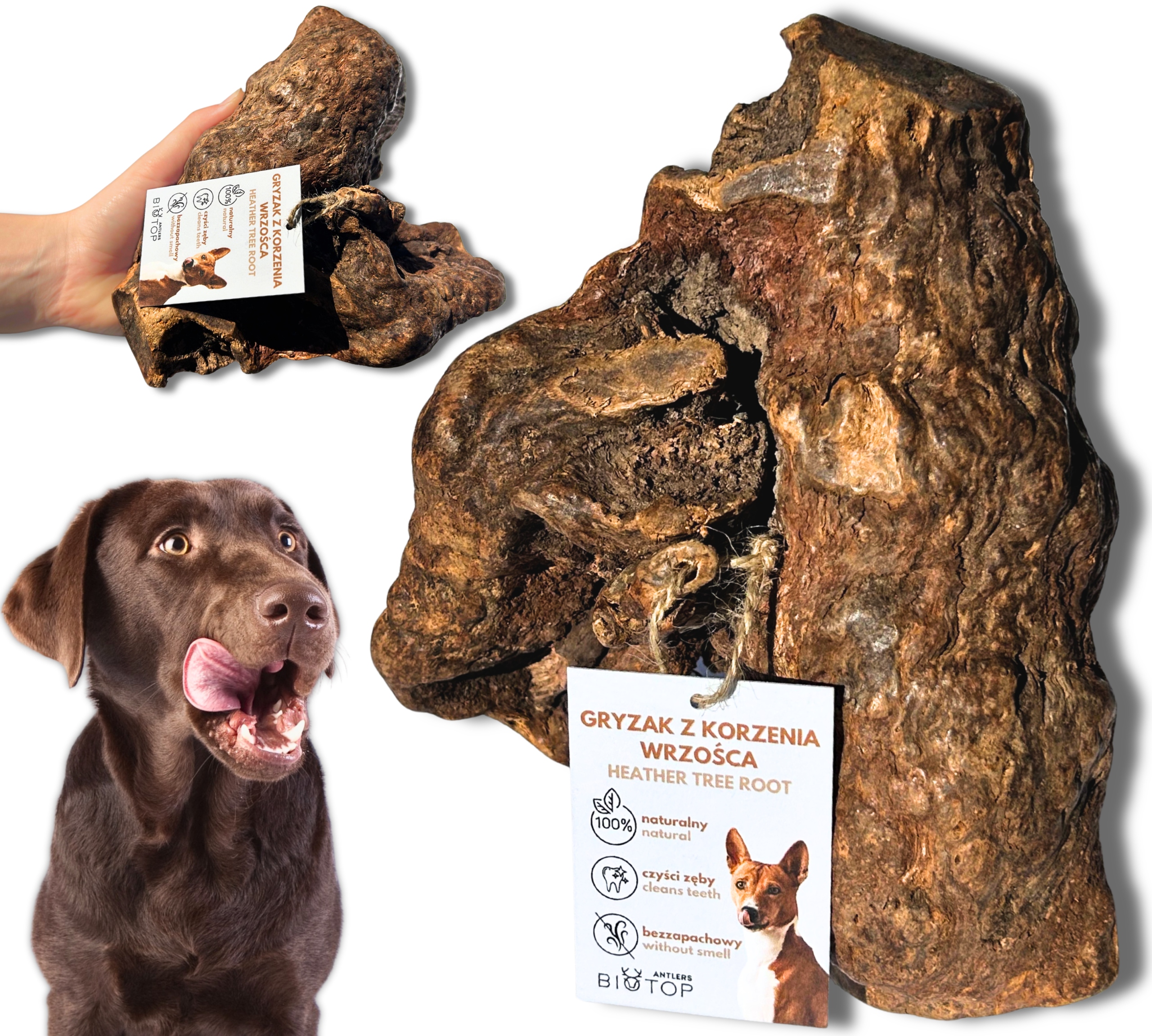 Kořen vřesu XXL – kousátko z vřesového stromu Pro Psa [750-1000 g] tvrdé