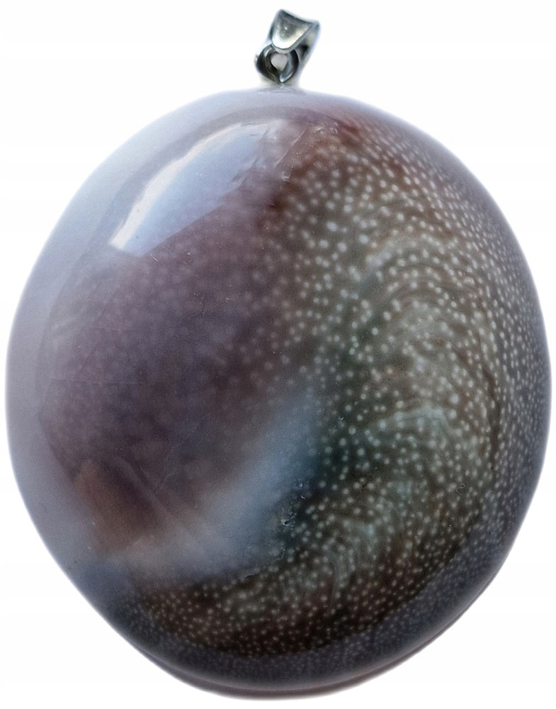 Fossilská Oceánská Mušle, Nádherný Přívěsek, Esence Ženskosti