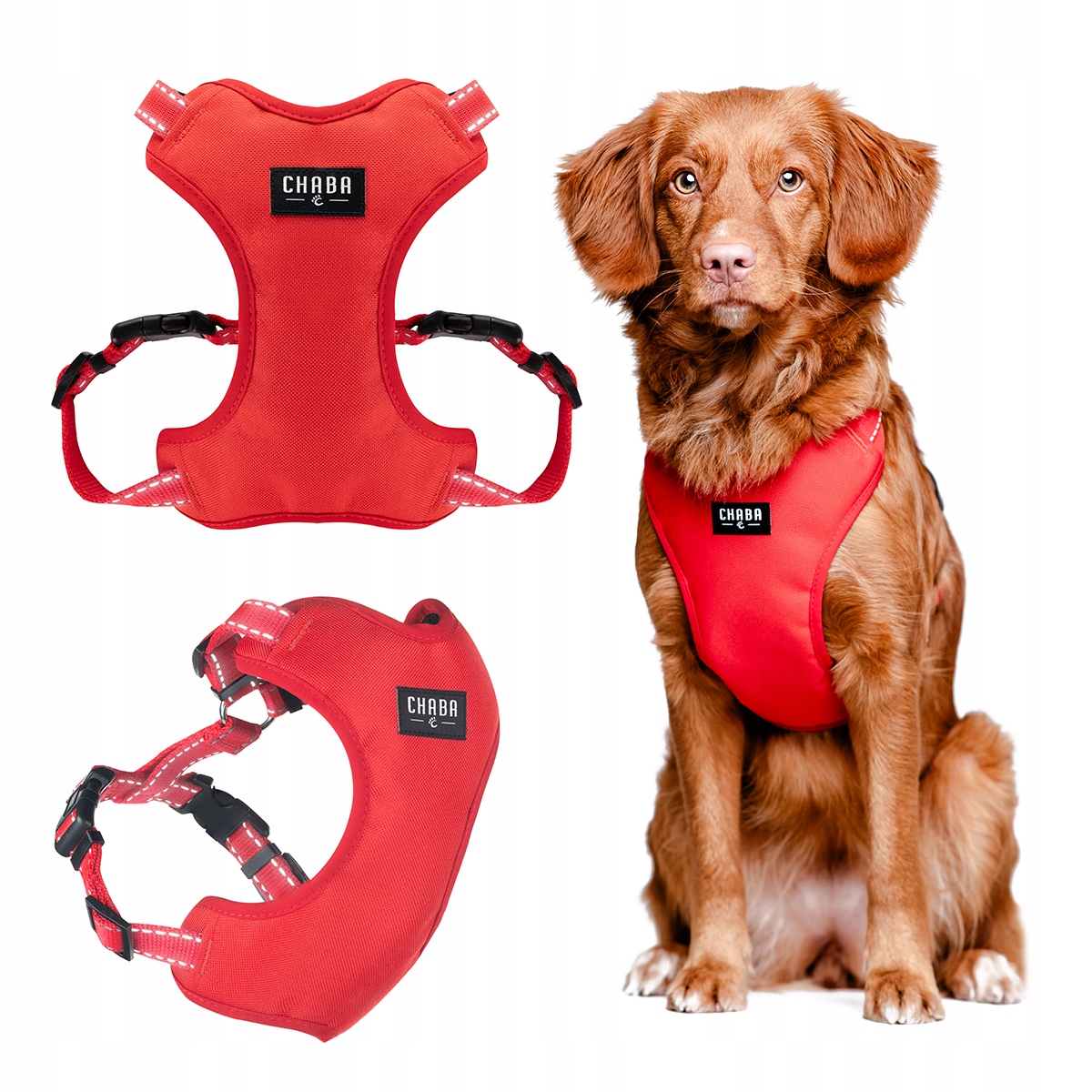 Levně Chaba Postroj Guard Comfort XL 2,5cm/64-76cm Červený