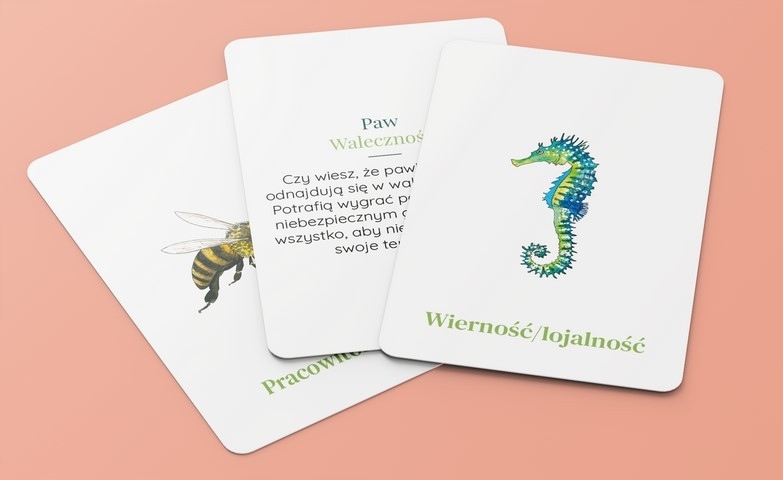 NA TROPIE MOCNYCH STRON – GRA I POMOC TERAPEUTYCZNA DO ROZWOJU – EDUKOWISKO Materiał karton papier