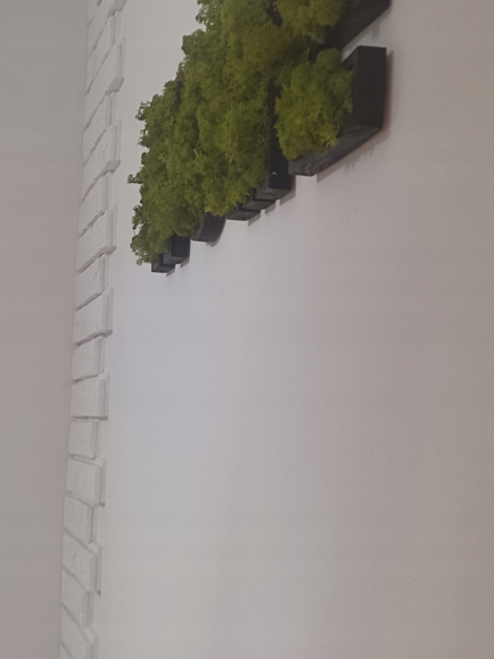 napis HOME z mchu chrobotek MECH Wysokość produktu 40 cm