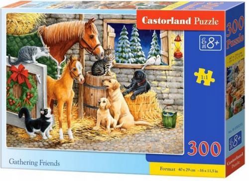 

Puzzle 300 Gathering Friends Zebranie prz.B-030255