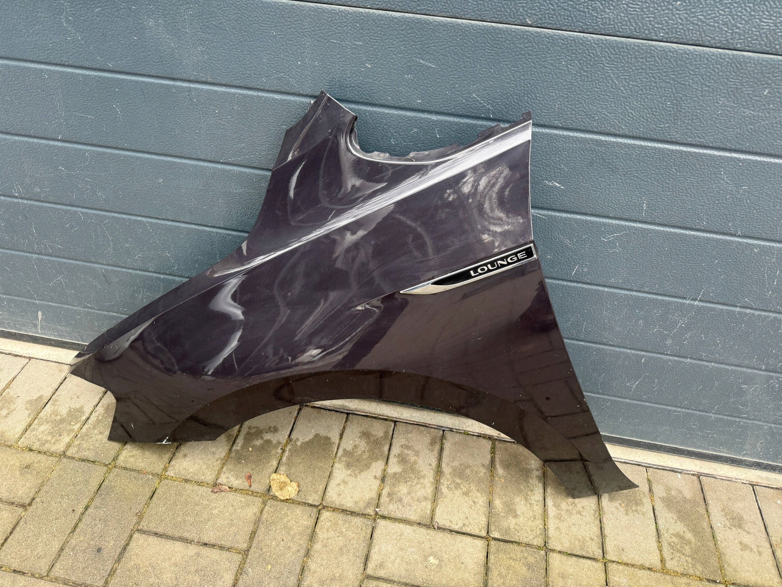 Vw Golf Sportsvan 510 fender left front front
