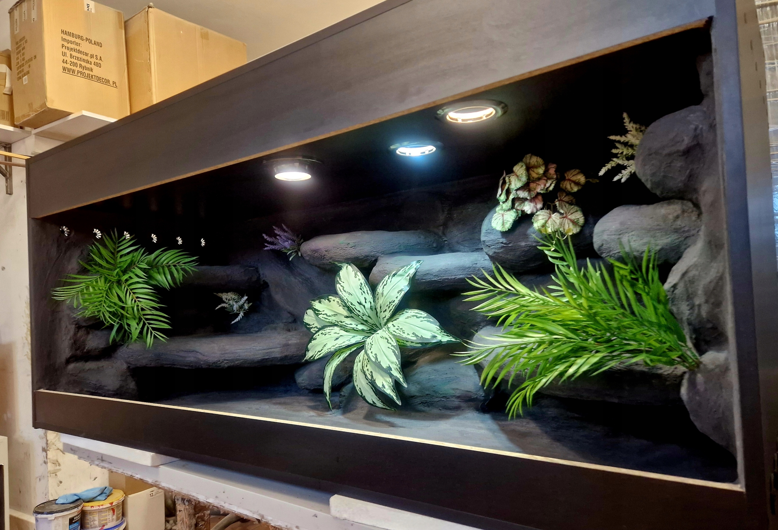 Terárium Pro Hada 120x60x60 Tropické Objednávky Aranžování Vybavení