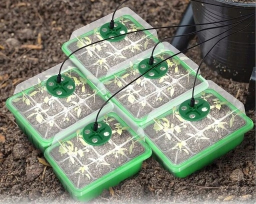LED mini šiltnamis sėkloms daiginti modelis 270 nuotrauka 10